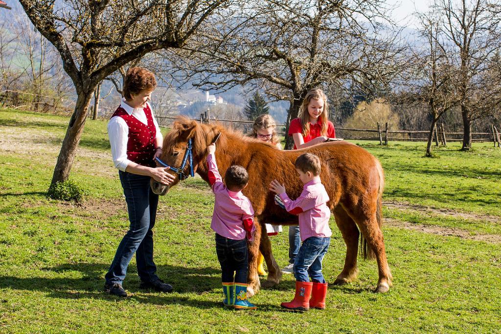 Familienparadies Zeislerhof Villa Glanegg  Kültér fotó